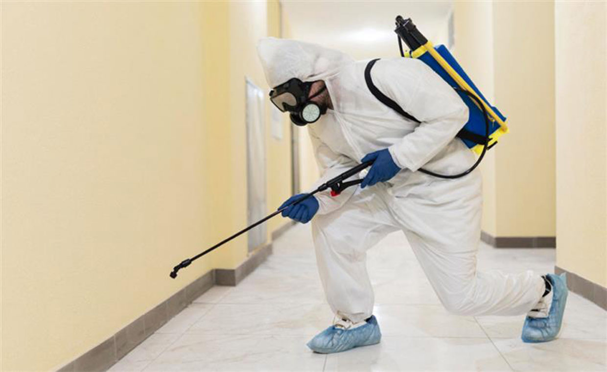 Efficient Pest Control Services