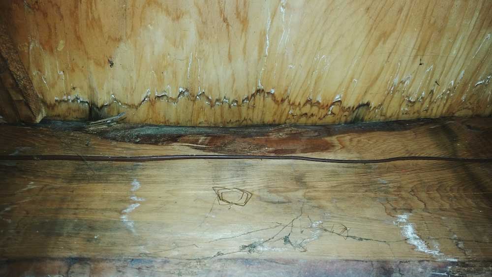 Flooring can Damage Plumbing Line