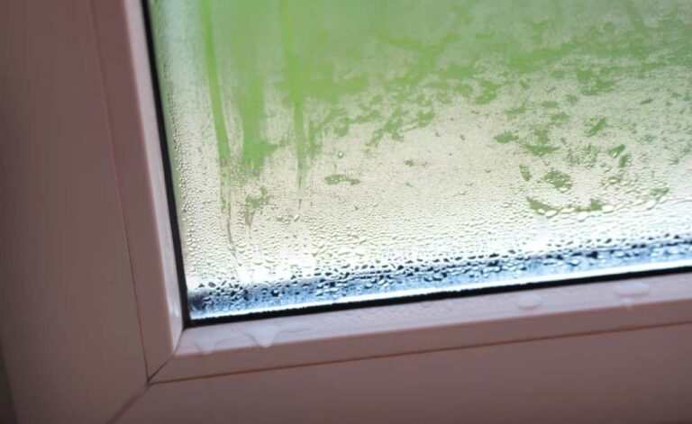 Leaking Windows