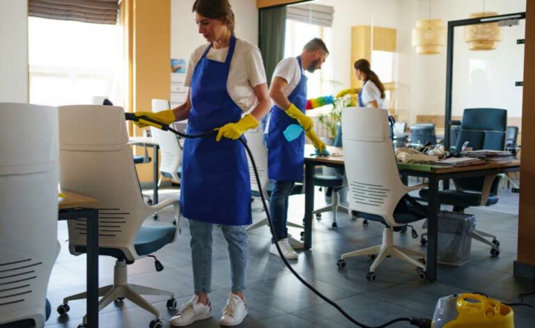 Professional Cleaning Services