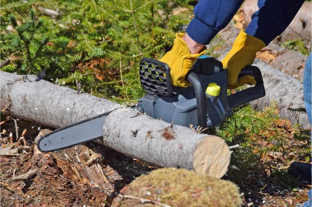 Cordless Tools for Woodwork