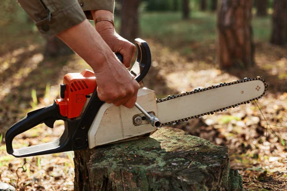 How to Use Pole Saw