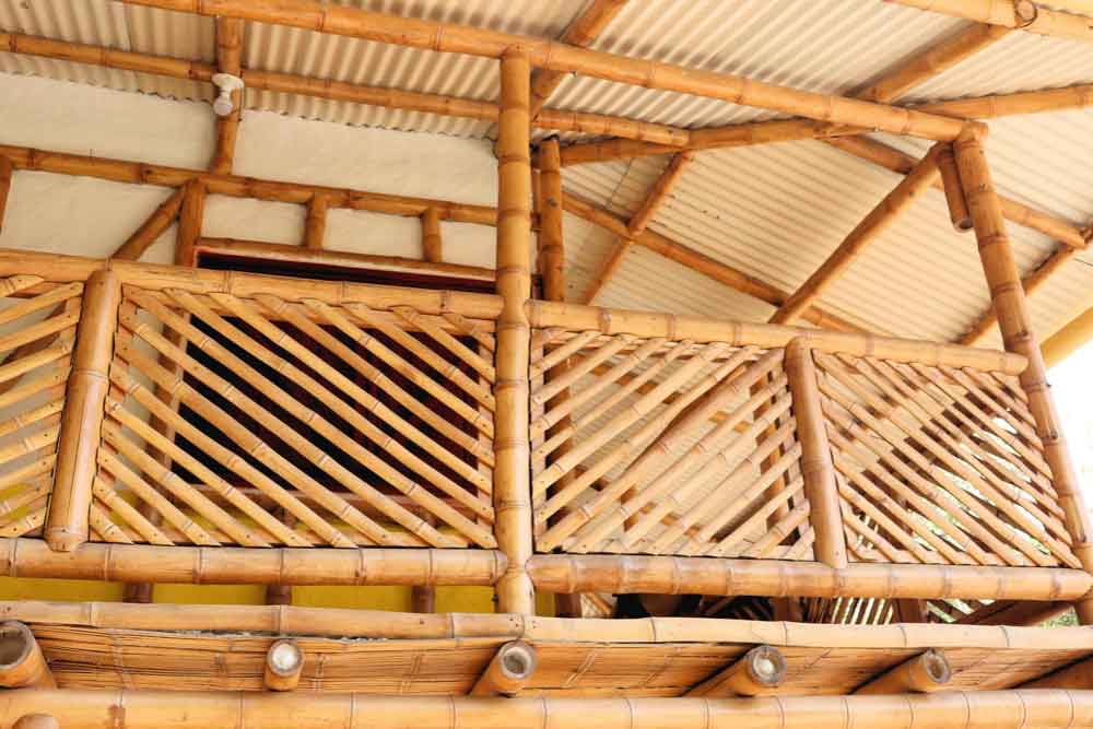 Innovative Beam Design with Bamboo