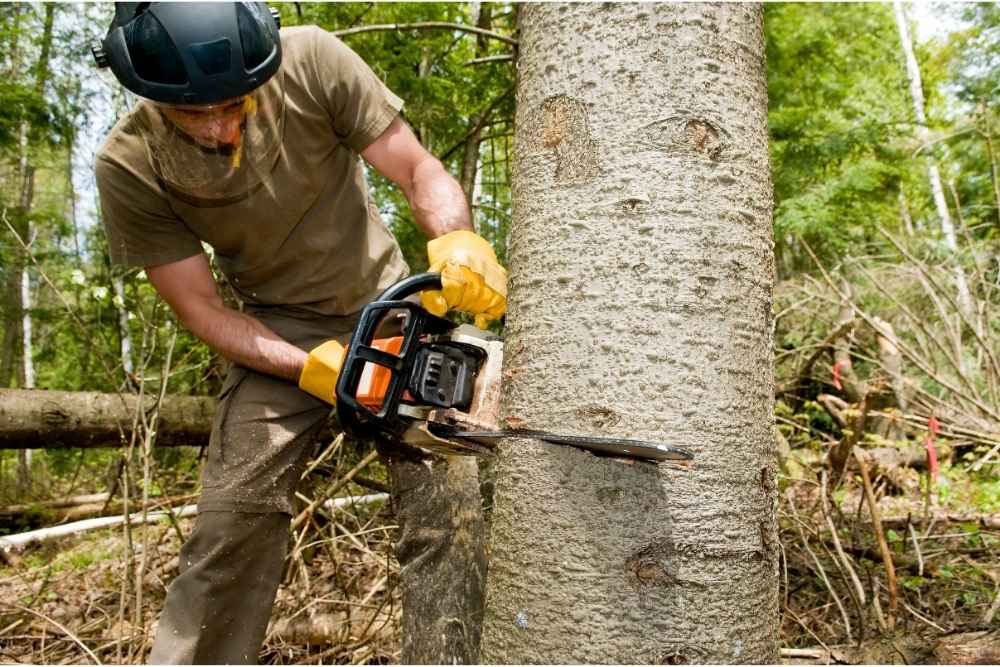Use Safety Gear while Work with Wood Work