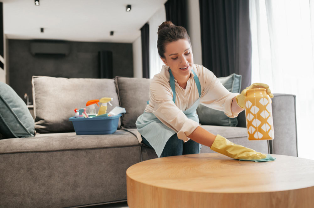 Making Healthy Cleaning Habits