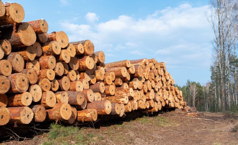 Ohio Timber