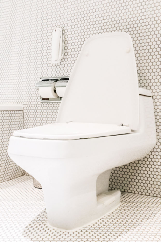 Shape of One-Piece Toilet