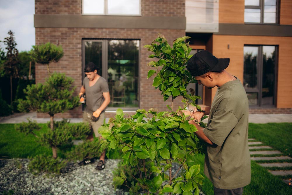 Exterior Upgrade of a Property