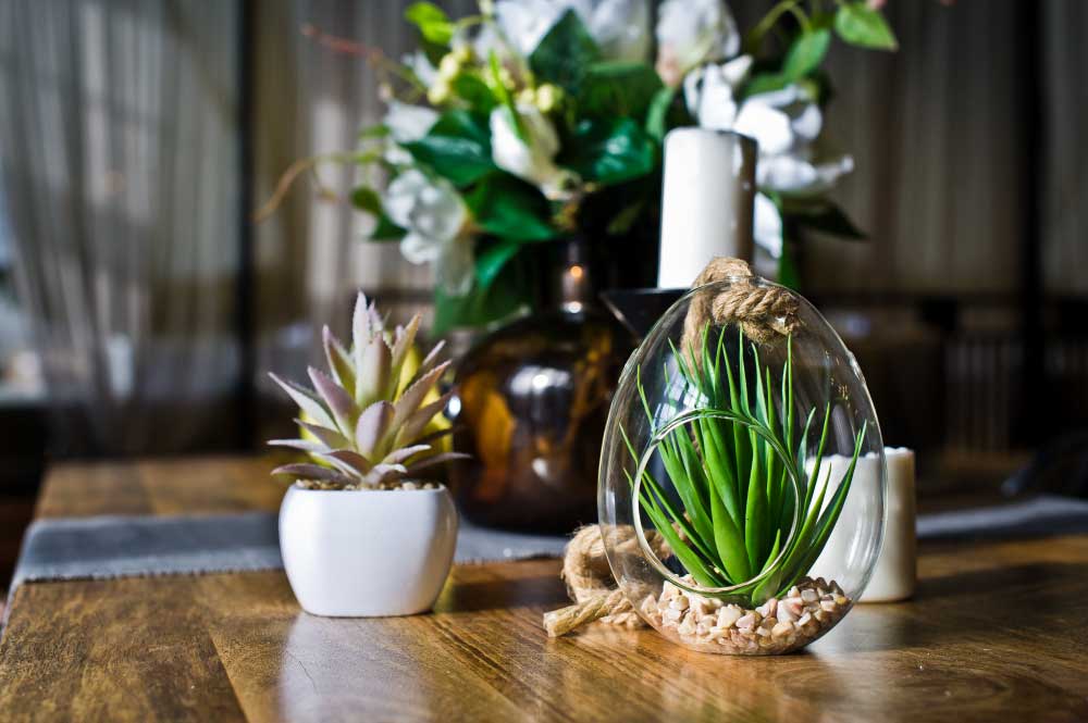 Natural Elements with Indoor Planters