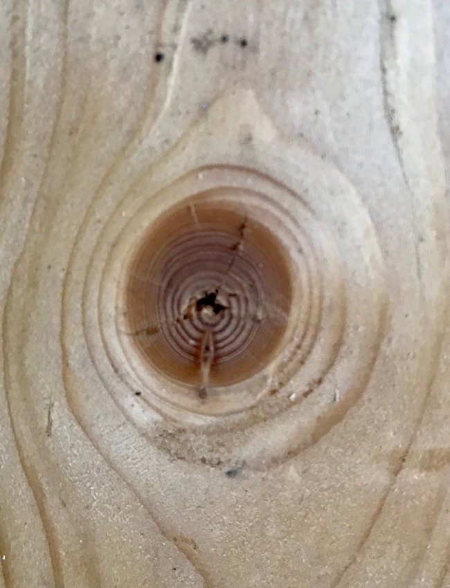 Knots in Wood