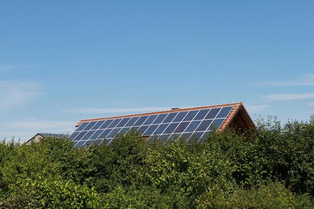 Overhead Trees Reduce Solar Energy Production
