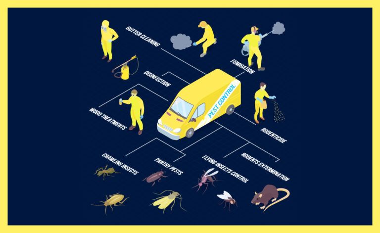Selecting the Right Pest Treatment Method
