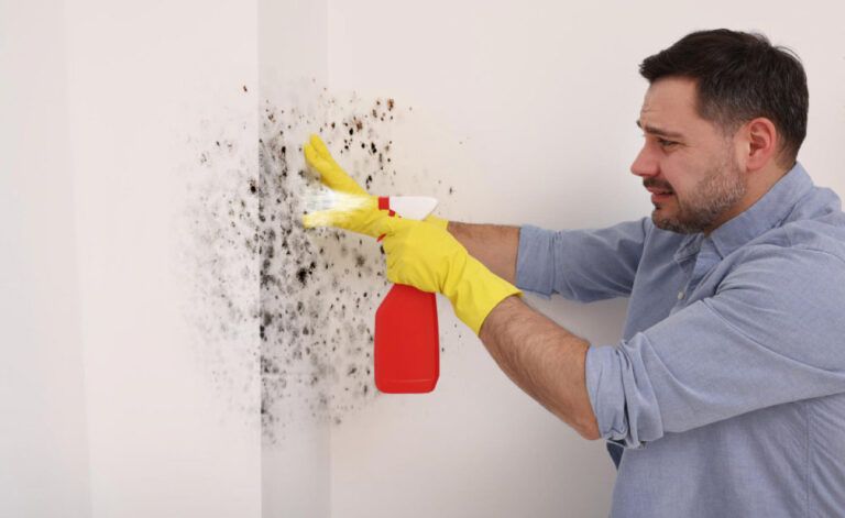 Mold Remediation in Colorado
