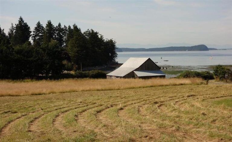 Preserving Island Heritage