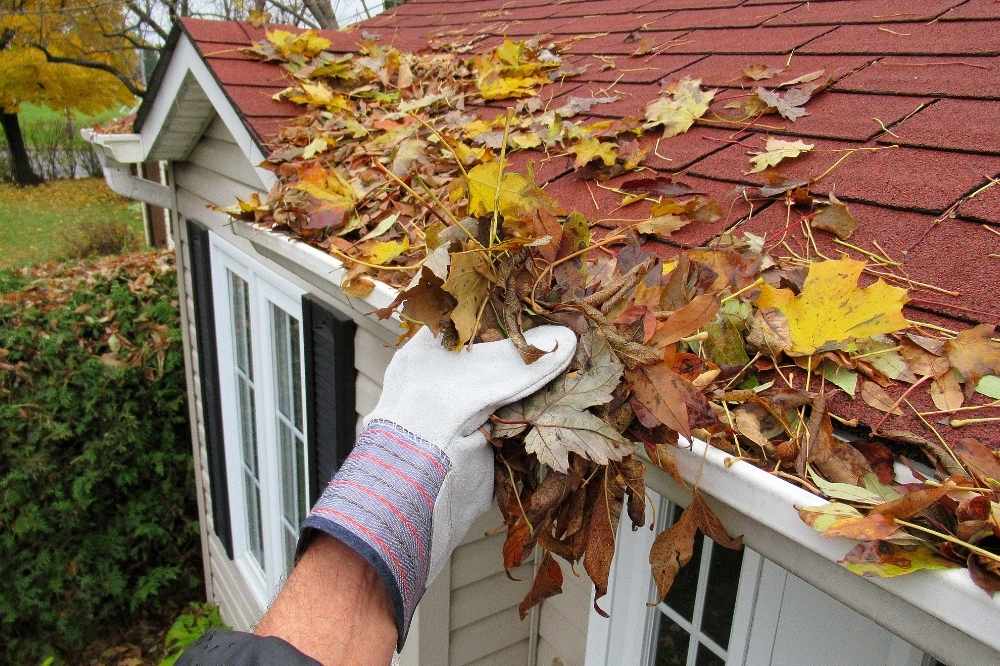Spring Home Maintenance