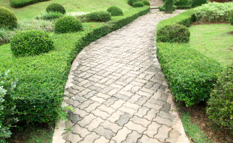Paving Project