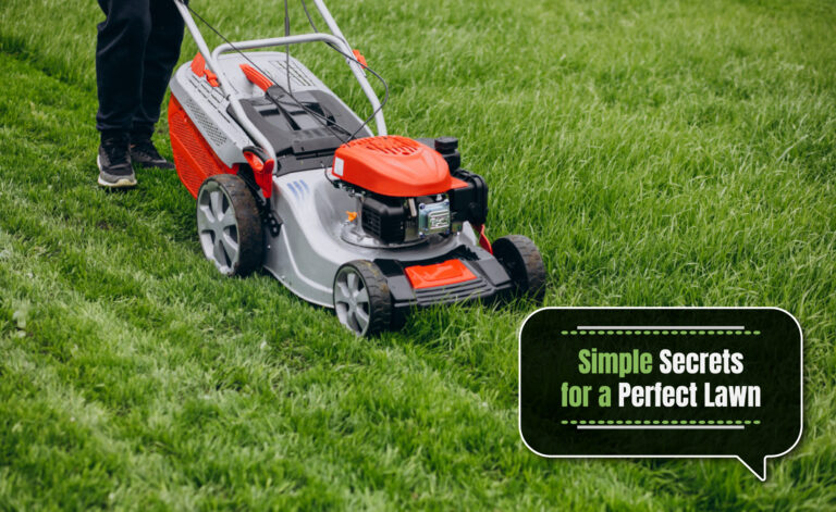 Lawn Mowing Secrets