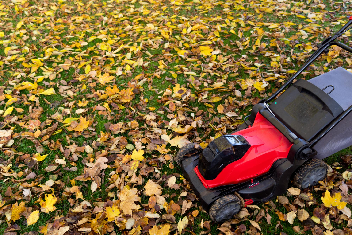 Leave Grass Clippings Behind