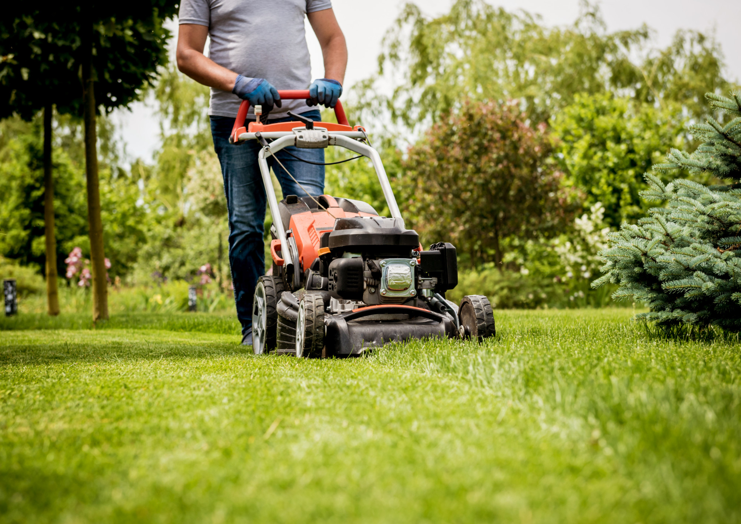 Mow at the Right Time