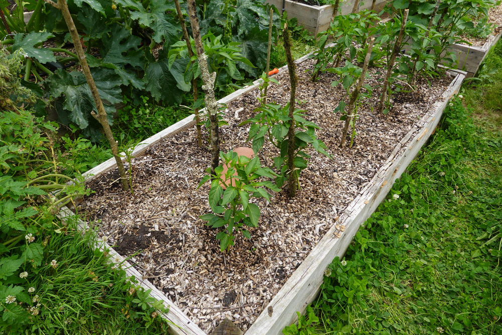 Organic Mulch