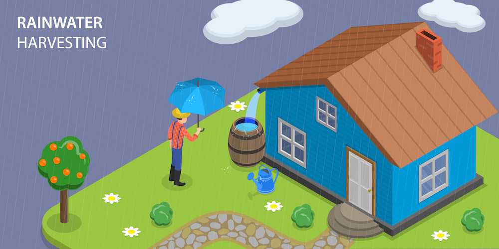 Rain Water Harvesting