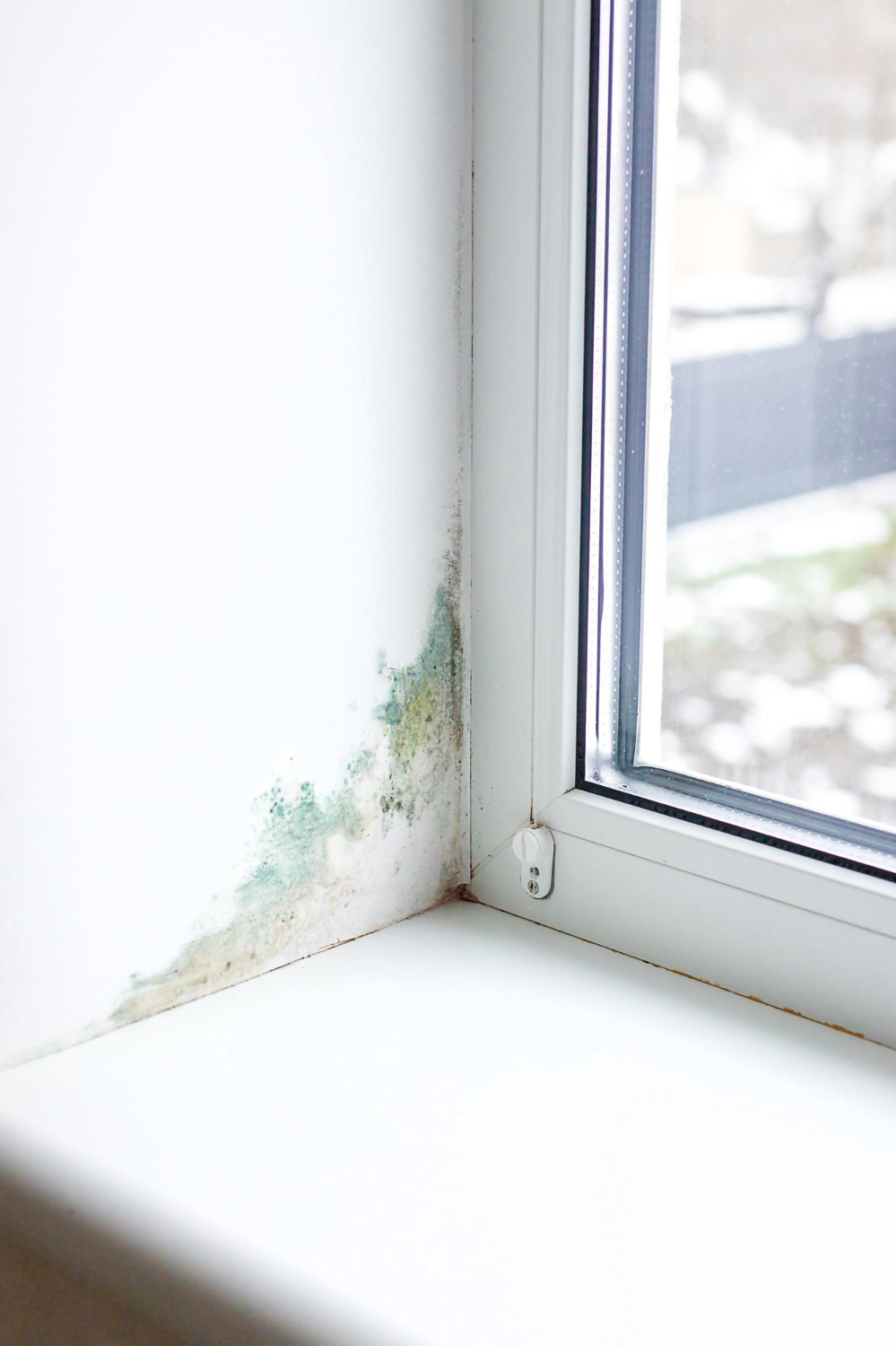 Check Walls For Hidden Damp Patches