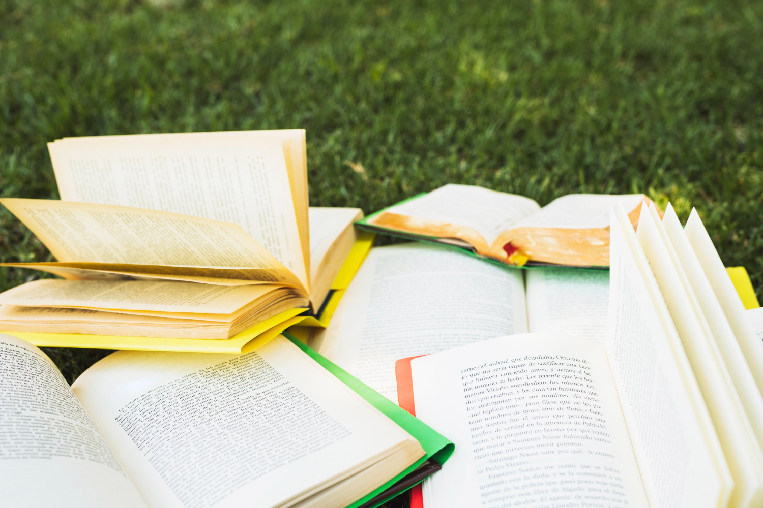 Dry Affected Books In Sunlight For 2 To 3 Hours