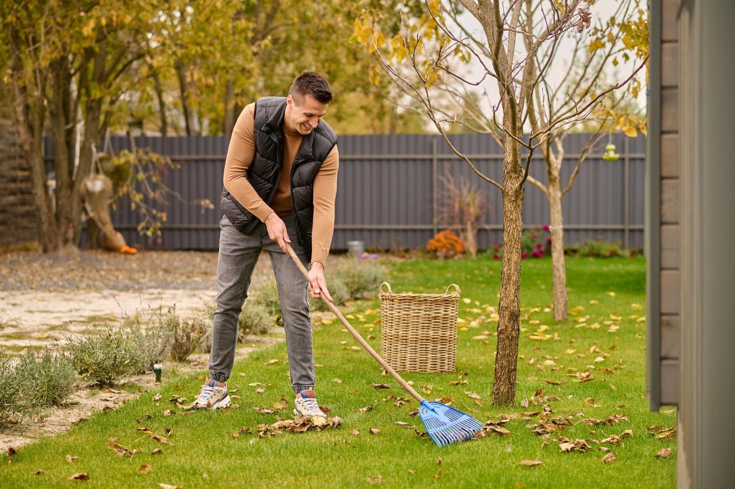 Importance of Yard Cleanup