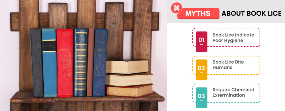 Myths About Book Lice
