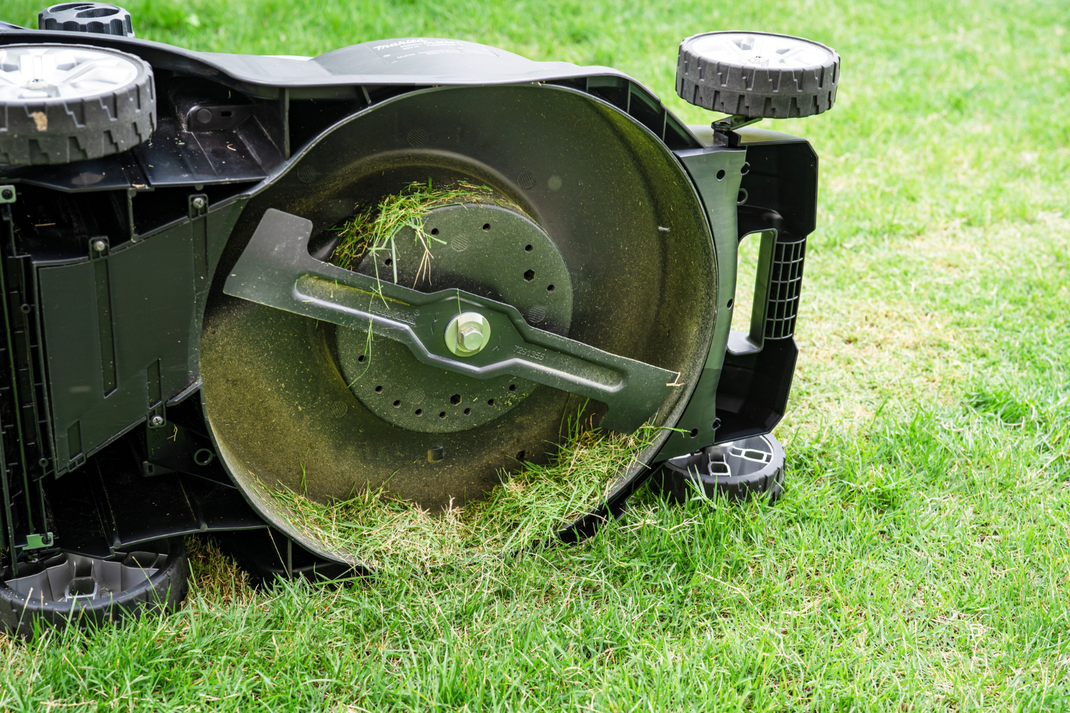Sharp Blades of Lawn Mower