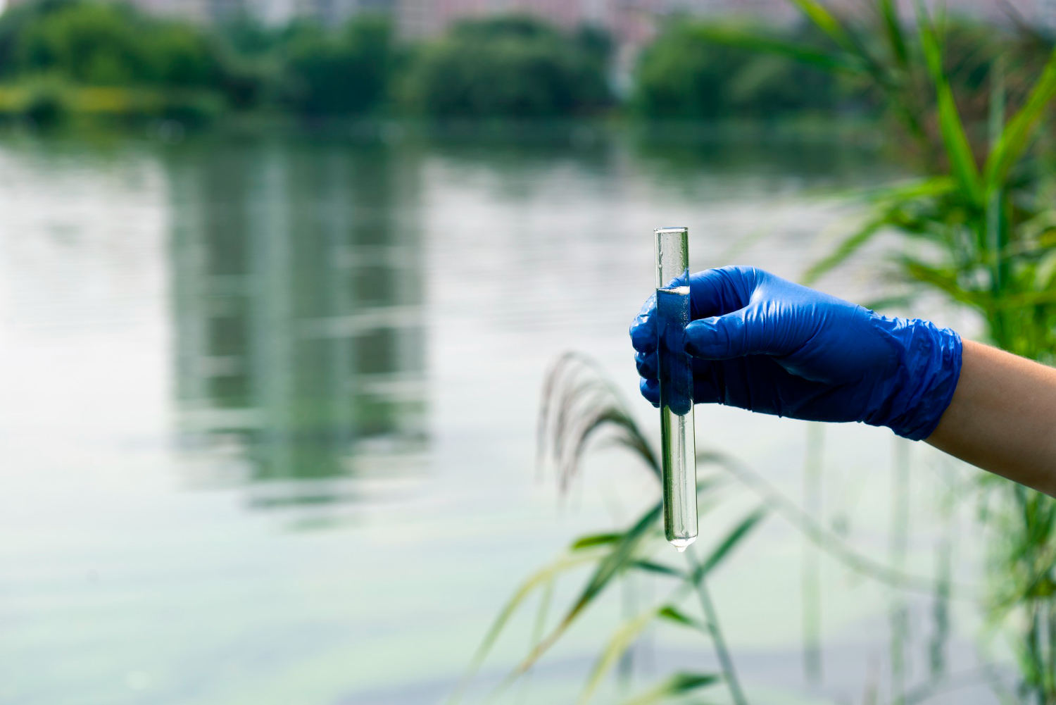 Testing the Local Water