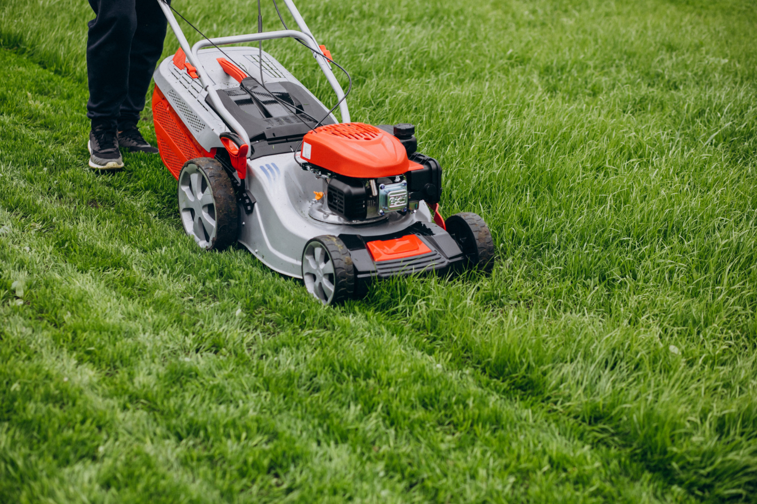 Trimming Lawn Slightly